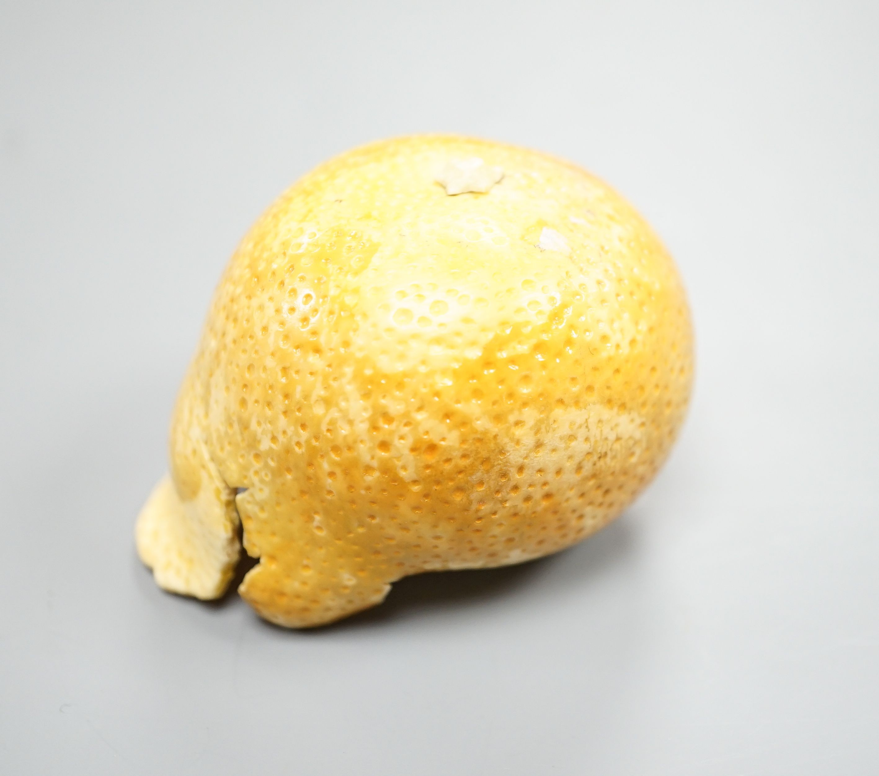 A Japanese carved ivory model of a partially peeled tangerine c.1900, 5cm